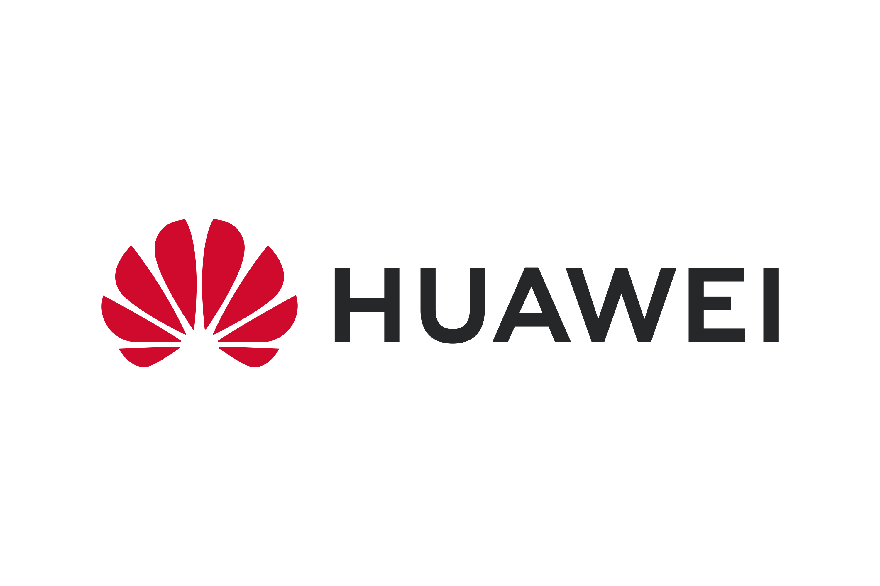 ub_huaweitechinvestmentcoltd