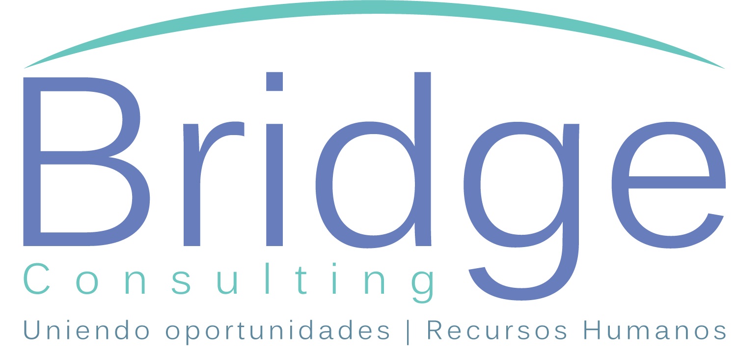 ub_bridgeconsulting