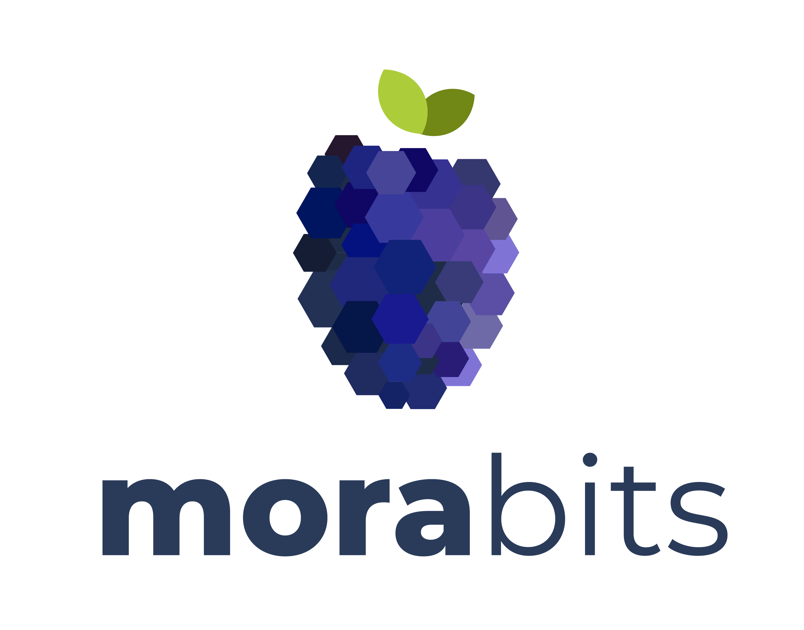 ub_morabits
